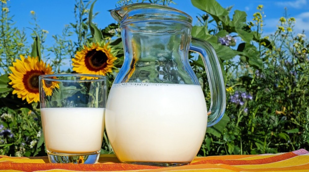 Avoiding Weight Gain During Menopause with proteins from dairy, like this carafe of milk.